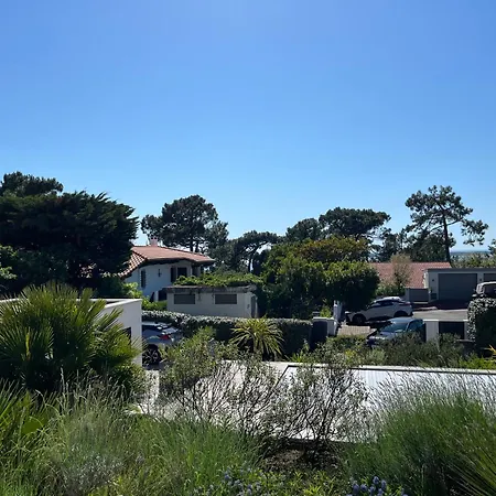 Mistral * Pyla-sur-Mer